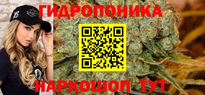 гашик Мариинск